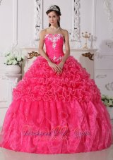 New Modest Hot Pink Quinceanera Dress Strapless Organza Embroidery with Beading Ball Gown