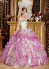 Popular Fuchsia and Apple Green Ball Gown Sweetheart Floor-length Organza Appliques Quinceanera Dress