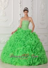 Popular Beautiful Green Quinceanera Dress Strapless Organza Beading Ball Gown