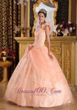 Pretty Light Pink Sweet 16 Dress One Shoulder Appliques Tulle Ball Gown