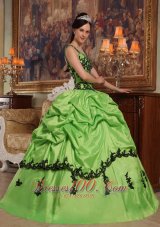 Popular Light Green Quinceanera Dress Straps Appliques Taffeta Ball Gown Fashion