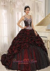 Special Fabric Pick-ups Spagetti Straps Appliques Decorate Quinceanera Gowns In Mar del Plata Fashion