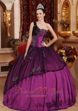 Discount Purple Quinceanera Dress One Shoulder Taffeta and Organza Beading and Appliques Ball Gown Plus Size