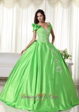 Spring Green Ball Gown Off the Shoulder Floor-length Taffeta Embroidery Quinceanera Dress Plus Size