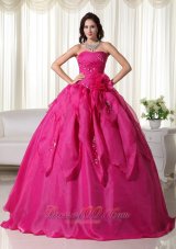 Fuchsia Ball Gown Strapless Floor-length Organza Appliques Quinceanera Dress Plus Size