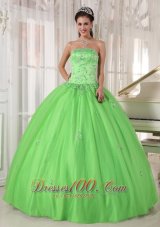 Elegant Spring Green Quinceanera Dress Strapless Taffeta and Tulle Appliques Ball Gown Pretty