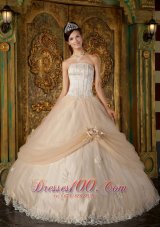 Informal Champagne Quinceanera Dress Strapless Appliques Tulle Ball Gown Pretty