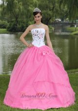 Embroidery Decorate Rose Pink Quinceanera Dress With Strapless Skirt Pretty