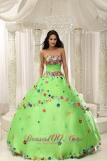 Spring Green Ball Gown 2013 Quninceaera Gown For Custom Made Appliques Decorate Bodice Pretty