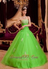 Simple Spring Green Quinceanera Dress Strapless Appliques Tulle A-line / Princess  for Sweet 16