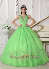 Lovely Spring Green Quinceanera Dress Halter Taffeta and Organza Appliques Ball Gown  for Sweet 16