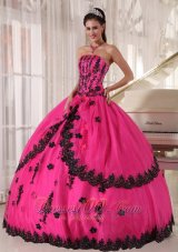 Perfect Hot Pink Quinceanera Dress Strapless Appliques Ball Gown