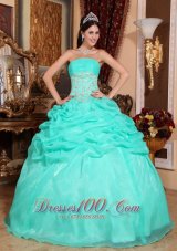 Puffy Romantic Turquoise Quinceanera Dress Strapless Organza Appliques Ball Gown