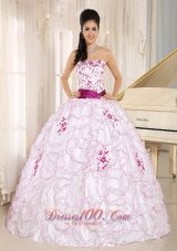 2013 Santa Cruz City White Organza Strapless Quinceanera Dress With Embroidery Decorate