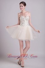 Champagne A-line Sweetheart Short Organza Beading Prom/Cocktail Dress