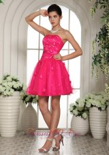 2013 2013 Hot Pink Prom Dress With Appliques and Beading Mini-length For Custom Made
