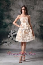 Cheap Customize Champagne Empire Mother Of The Bride Dress Organza Beading Knee-length