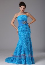 Celebrity Hawaii City Fabric With Rolling Flower Baby Blue Beading Evening Dress With Brush Train In 2013