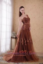 Celebrity Brown Column / Sheath One Shoulder Brush /Sweep Appliques Tulle Prom/Pageant Dress