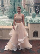 Perfect A-line Pageant Dress for Teens Champagne Scoop Tulle Sleeveless Floor Length Zipper