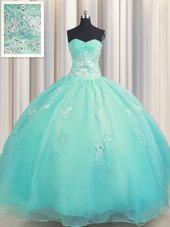 Glamorous Zipper Up Aqua Blue Organza Zipper 15th Birthday Dress Sleeveless Floor Length Beading and Appliques