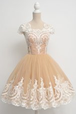 Scoop Cap Sleeves Tulle Knee Length Zipper Cocktail Dresses in Champagne for with Lace
