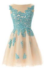 Free and Easy Champagne Zipper Bateau Appliques Party Dress for Girls Tulle Sleeveless