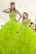 Sweetheart Sleeveless Organza 15 Quinceanera Dress Beading and Pick Ups Lace Up