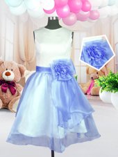 Trendy Ball Gowns Flower Girl Dresses Baby Blue Scoop Organza Sleeveless Knee Length Zipper