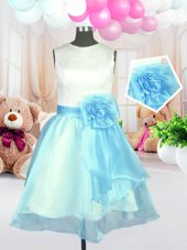 Deluxe Light Blue Zipper Scoop Hand Made Flower Flower Girl Dresses Organza Sleeveless