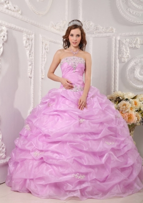 Exclusive Ball Gown Strapless Floor-length Organza Appliques Quinceanera Dress