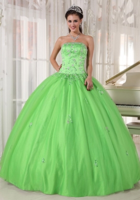 Spring Green Ball Gown Strapless Floor-length Taffeta and Tulle Appliques Quinceanera Dress