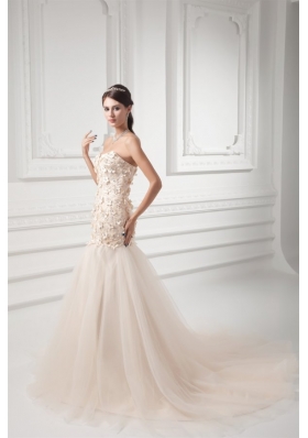 Champagne A-line Sweetheart Court Train Wedding Dress with Appliques