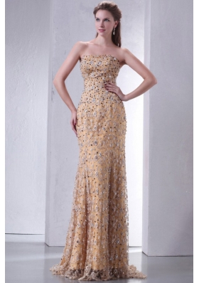 Unique Brush Train Column Prom Dress with Lace and Beading