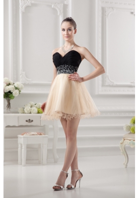 Sweetheart Organza Beading Organza Champagne Prom Dress