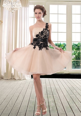 Luxurious One Shoulder Champagne Prom Dress with Appliques