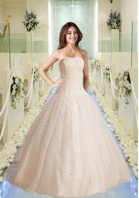 Modest Strapless Appliques Wedding Dresses with Appliques
