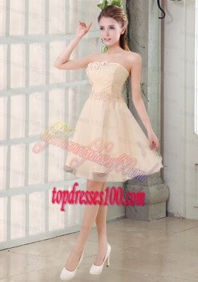 Champagne A Line Strapless Appliques Bridesmaid Dress