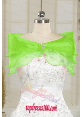 Beautiful Beading Organza Shawls in Spring Green