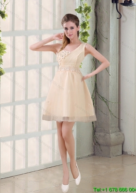 2015 Summer Pretty Champagne One Shoulder A Line Appliques Dama Dress