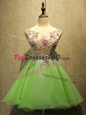 Beauteous Sleeveless Organza Mini Length Lace Up Homecoming Dress in with Embroidery