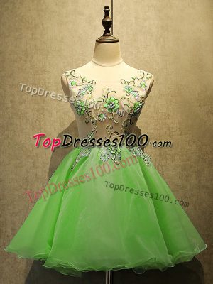 Scoop Sleeveless Organza Embroidery Lace Up