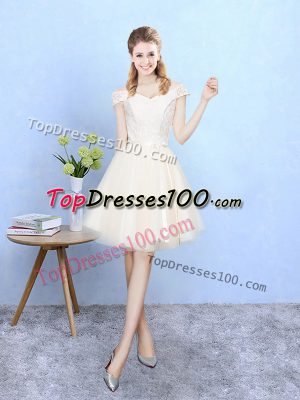 Off The Shoulder Cap Sleeves Lace Up Quinceanera Court Dresses Champagne Tulle