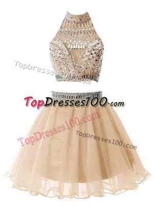 High-neck Sleeveless Zipper Wedding Guest Dresses Champagne Organza