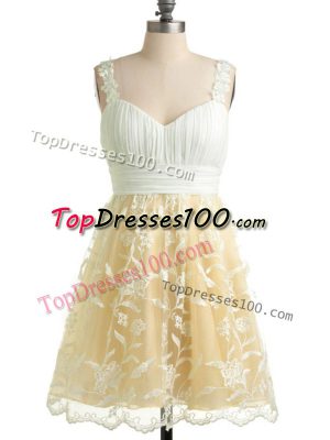 Lace Dama Dress Champagne Lace Up Sleeveless Knee Length