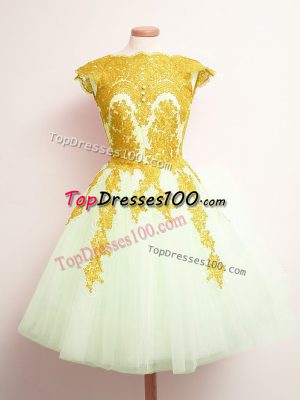 Elegant Multi-color Lace Up Bridesmaid Gown Appliques Sleeveless Mini Length