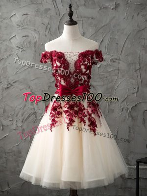 Tulle Sleeveless Knee Length Damas Dress and Appliques and Bowknot