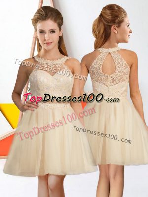 A-line Quinceanera Court Dresses Champagne Halter Top Tulle Sleeveless Knee Length Zipper