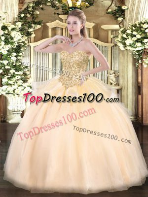 Sweetheart Sleeveless Organza Sweet 16 Dress Appliques Lace Up