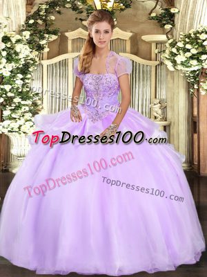 On Sale Strapless Sleeveless Quinceanera Gown Floor Length Appliques Lavender Organza